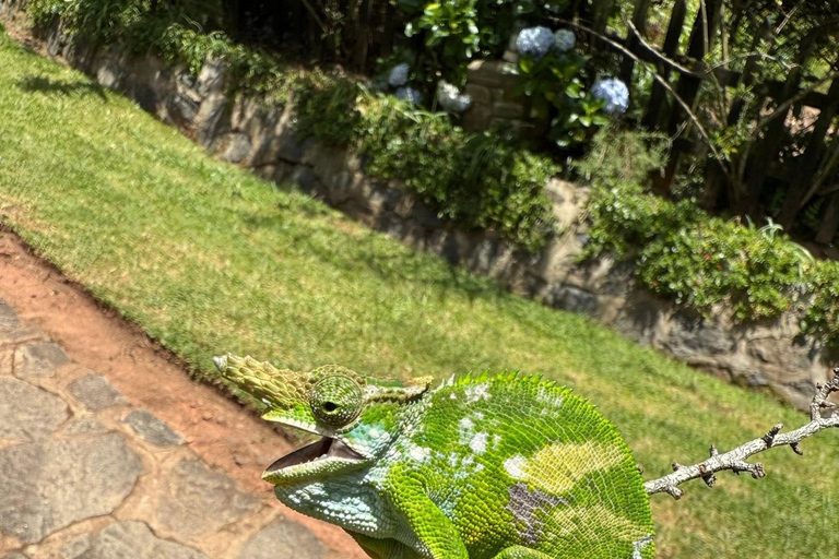 Lushoto : 4 jours d'aventure et de trek dans les montagnes de l'UsambaraLushoto : 4 jours d'aventure et de trek dans les montagnes d'Usambara