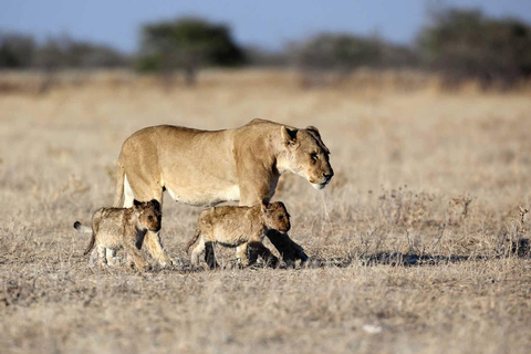 Namibië Ontdekkingsreis