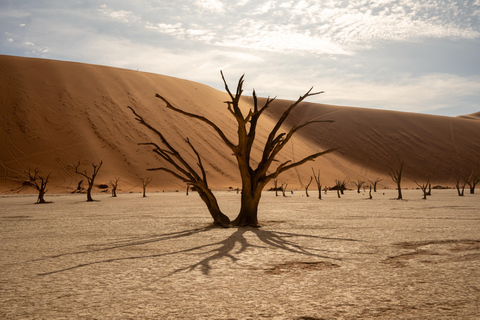 The Ultimate 4-Day Namibia: Sossusvlei, Swakop & Spitzkoppe The Ultimate 4-Day Namibia Loop
