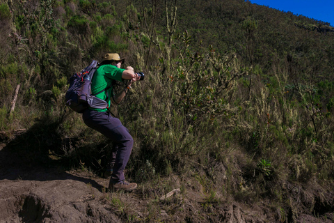 Percorso Lemosho di 8 giorni – Vetta del Kilimangiaro a Capodanno 20268 giorni sul percorso Lemosho: raggiungi la vetta del Kilimangiaro a Capodanno 2026