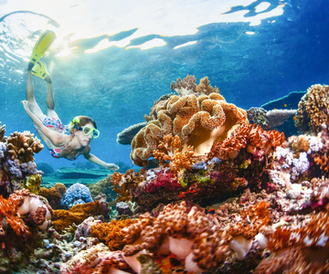 Da Bali: Tour di 3 punti di snorkeling a Lembongan e Penida