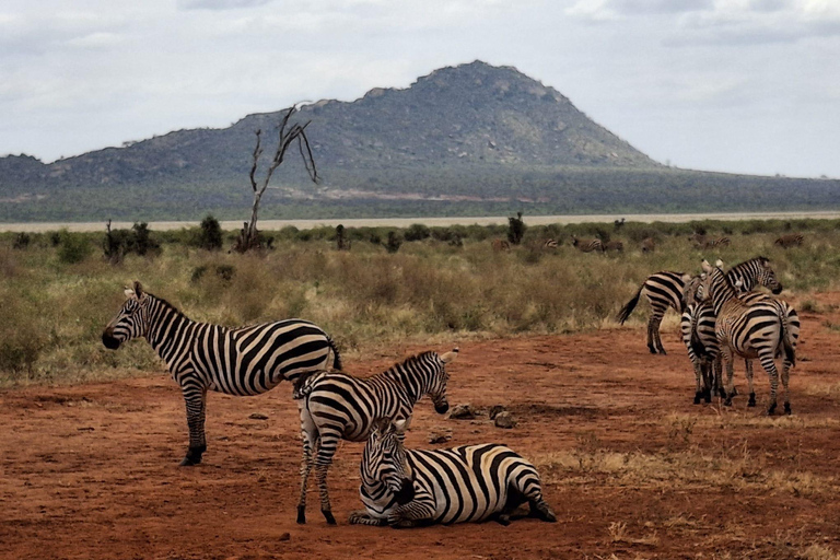 Mombasa: City Tour, Tsavo East Safari, and Beach Walk