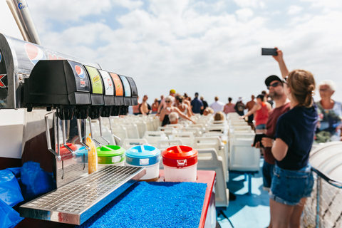 Adeje: Observação de Baleias e Golfinhos com Almoço e NataçãoCruzeiro de 4,5 horas com almoço e bebidas Masca Los Gigantes