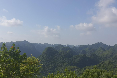 Half day Hiking Cat Ba National Park With guide