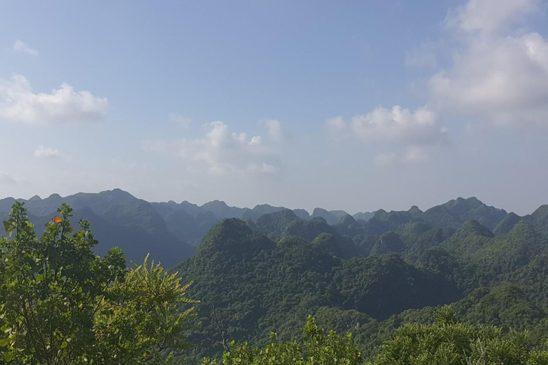 Half day Hiking Cat Ba National Park With guide