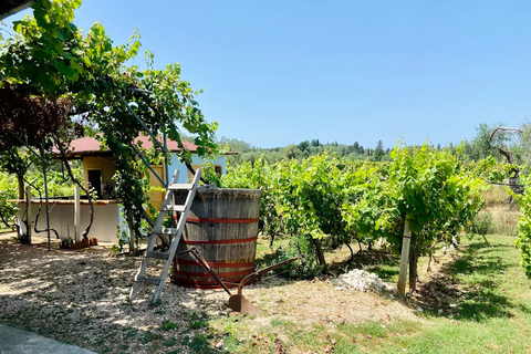 科孚岛：酒庄游览和品尝