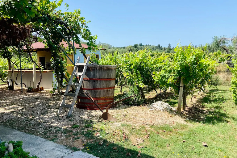 科孚岛：酒庄游览和品尝