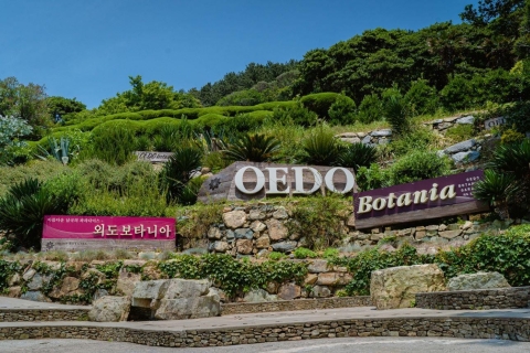 Busan: Gema oculta Geoje y la isla Oedo BotaniaRecorrido compartido desde la salida 1 de la estación KTX de Busan