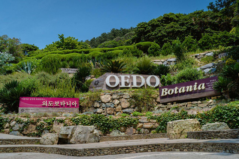 Busan : Gémeaux cachés Geoje & Oedo Botania IslandVisite partagée depuis la sortie 4 de la station de métro Seomyeon