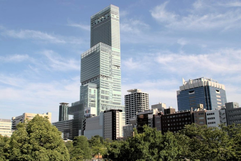 Osaka Through Time: Castle, Shinsekai, Harukas & Dotonbori Small Group Walking Tour with Public Transportation