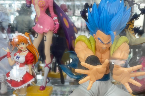 Tokyo: Kichijoji Walking Tour & Famous Anime Museum Ticket