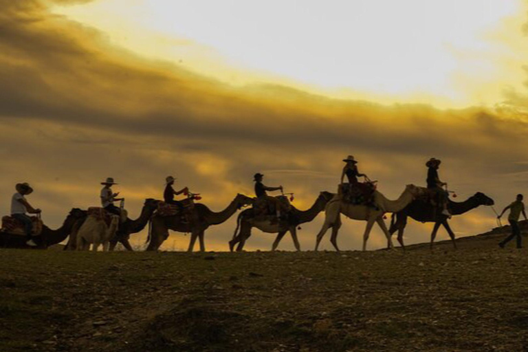 Marrakech: Agafay woestijn Quad &amp; kamelenritten met dinnershow