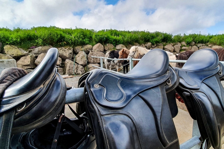 Reykjavik: Rode lava - paardrijtour