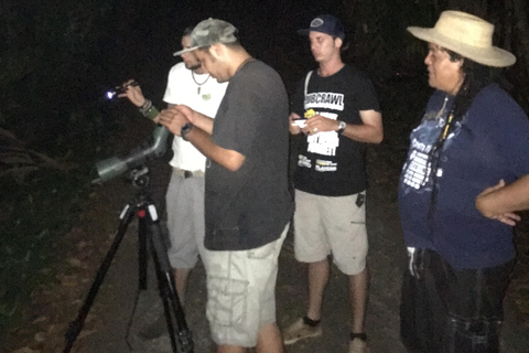 Puerto Jimenez: Jungle Night Walk near Corcovado NP