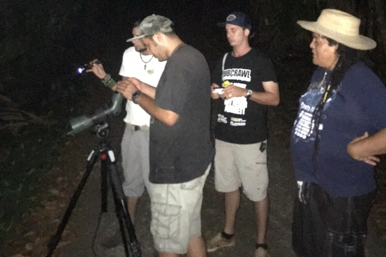 Puerto Jimenez: Jungle Night Walk near Corcovado NP