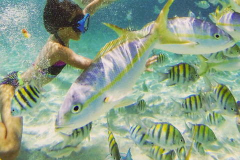 Puerto Plata: Catamaran Party Cruise, BBQ & Open Bar