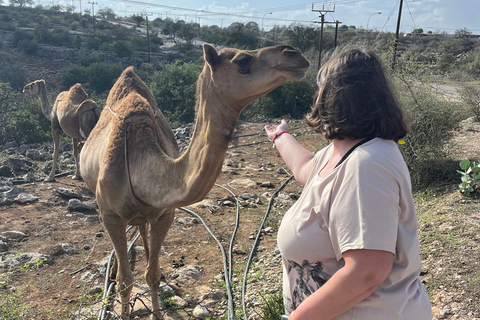 Ost Salalah Tour: Erlebe die Stadt Taqa und den Lebensstil in den Bergen