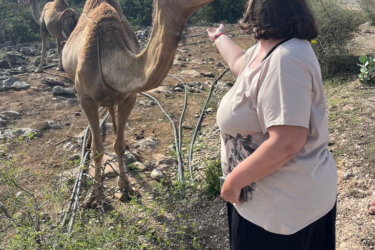 Oost Salalah Tour: Ervaar Taqa stad &amp; levensstijl in de bergen