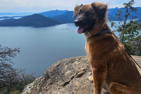 Excursion d&#039;une journée à Tunnel Bluffs - Vancouver