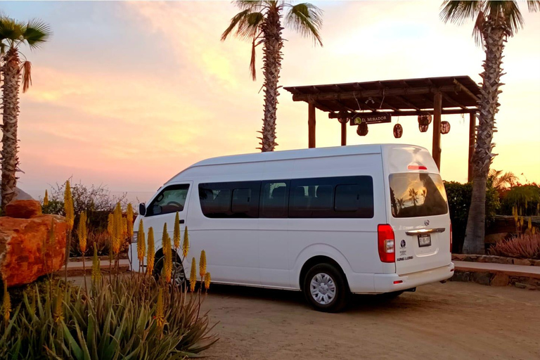 Los Cabos Airport: Group Transportation to San Jose del Cabo