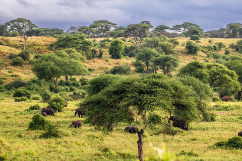Sansibar: 4-tägige Safari-Reise zum atemberaubenden NatronseeAtemberaubende Lake Natron Safari Reise - Komfortable Unterkunft