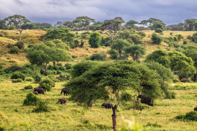 Sansibar: 4-tägige Safari-Reise zum atemberaubenden NatronseeAtemberaubende Lake Natron Safari Reise - Komfortable Unterkunft