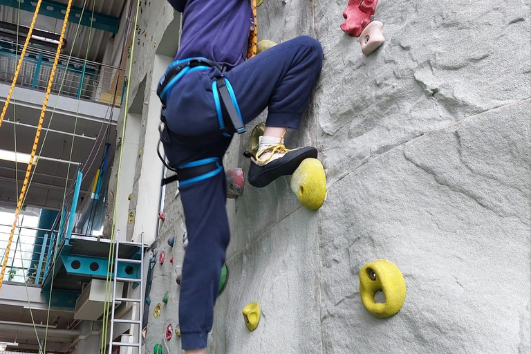 Alquiler de instalaciones de escalada