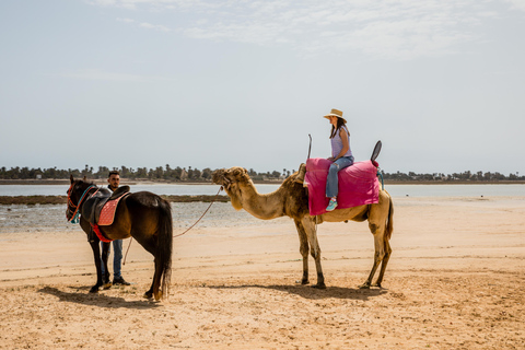 Paquete familiar: reserva tres excursiones y disfruta de una gratis.