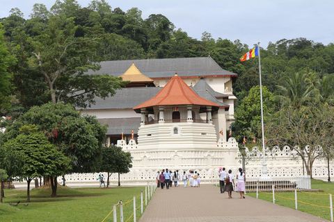 Circuit de 9 jours au Sri Lanka