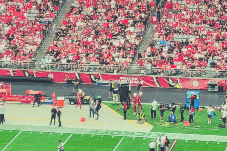 Arizona Cardinals Football Game at State Farm StadiumBudget Seating