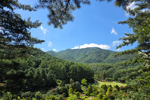 From Seoul: Garden of Morning Calm Day Tour by train