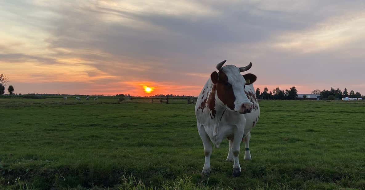 Afbeelding 10 van Broek in Waterland: kajakverhuur dicht bij Amsterdam