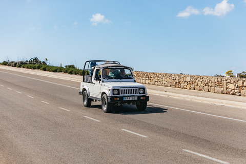 Från Malta: Gozo heldagsjeeptur med lunch och båttur