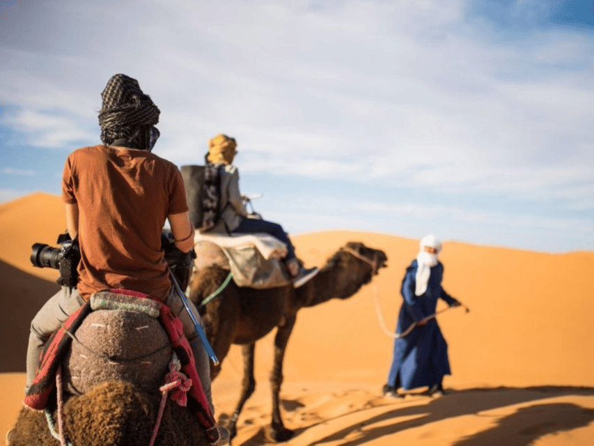 Agadir Horse and Camel Riding visite the flamingo river | GetYourGuide