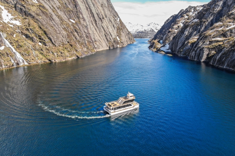 Desde Svolvær Crucero Silencioso por el Trollfjord de las Islas Lofoten