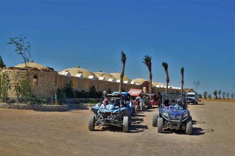 Hurghada: Quad Bike, Buggy, Jeep Safari, Camel Ride &amp; Dinnerpickup from hotels inside hurghada