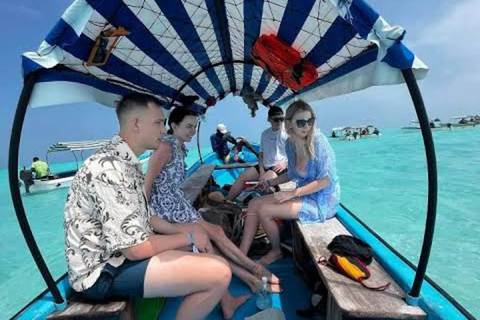 Zanzibar: Mnemba Dolphin, Jozani Forest & Turtle Sanctuary Private Tour without Hotel transfer