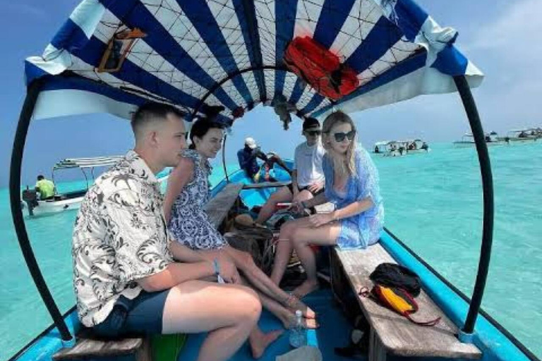 Zanzibar: Mnemba Dolphin, Jozani Forest & Turtle Sanctuary Private Tour without Hotel transfer