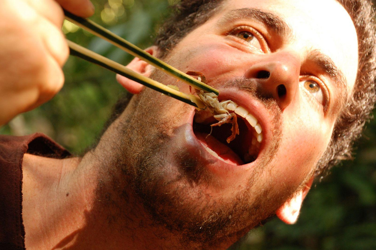 Chiang Rai: Trekking, Bamboo Cooking, and Hot Springs Tour