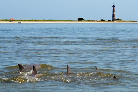 Charleston: Morris Island Lighthouse Eco båttur