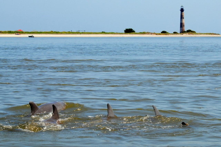 Charleston: Passeio de barco ecológico pelo farol da Ilha Morris