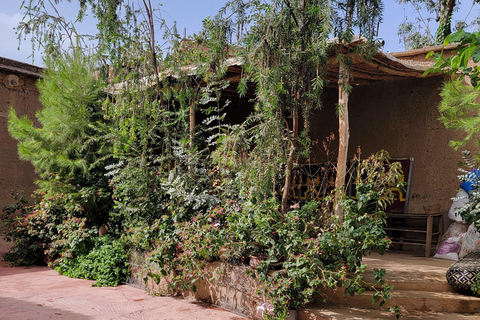 Marrakech: Ourika Valley, Waterfalls Private Trip with Lunch