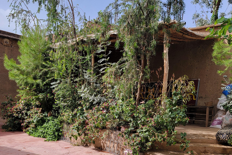 Marrakech: Ourika Valley, Waterfalls Private Trip with Lunch
