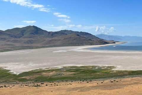From Salt Lake City: Bonneville Salt Flats Guided Tour