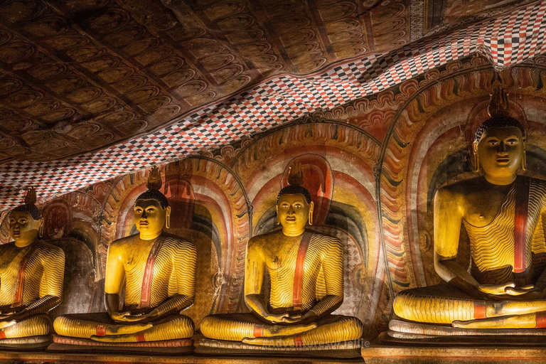 1 DAY Sigiriya, Dambulla, and Village Tour