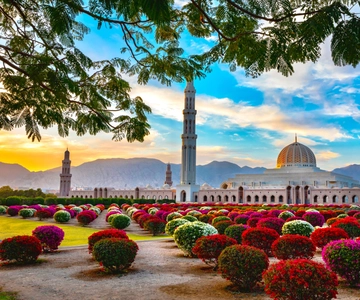Muscat: Day Tour with Omani Lunch, Hotel Pickup, and Airfare