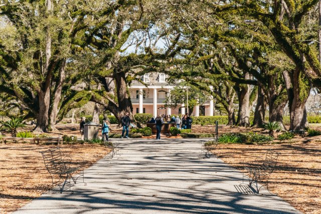 New Orleans: Oak Alley Plantation &amp; Airboat Swamp Combo Tour