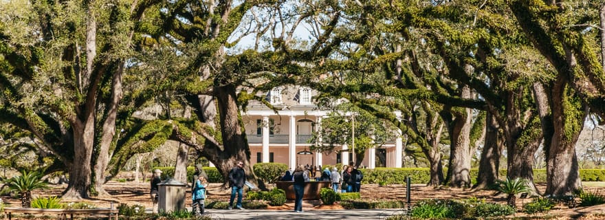 New Orleans: Tour combinato di Oak Alley Plantation e Airboat Swamp