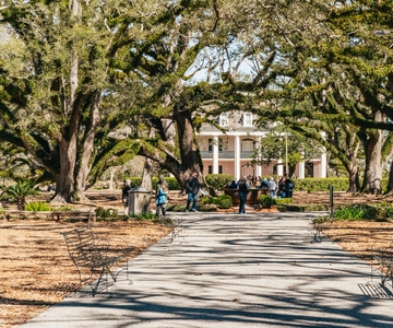 New Orleans: Oak Alley Plantation & Airboat Swamp Combo Tour