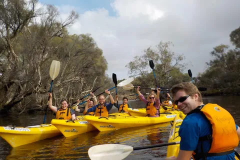 Excursión de medio día en kayak por la vida salvaje del río Canning